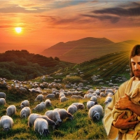 Jesus Christ is my shepherd