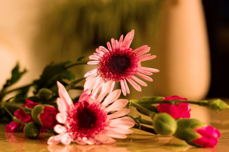 Pretty bouquet - carnation, pretty, beautiful, table, bouquet, flowers, gerberas, daisies, fresh, gift