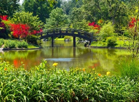 Lovely park - season, blooming, lake, freshness, trees, greenery, flowering, park, spring, nature, forest, blossoms, flowers, grass, pond