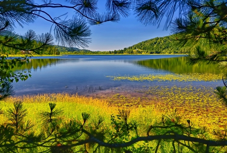 Lakescape - trees, branches, lakescape, blue, beautiful, grass, lovely, shore, nature, lake, sky