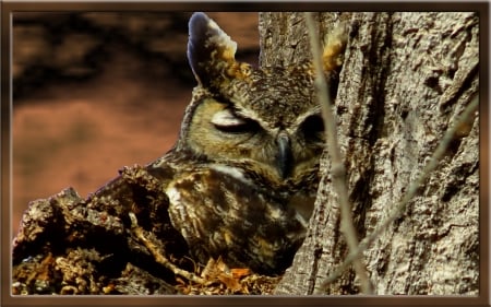 Sleepy Horned Owl - owl, enhanced, bird, nesting