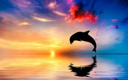 Enjoying freedom - water, summer, blue, dolphin, freedom, sea, silhouette, ocean, orange, black, sunset, red, cloud, sky