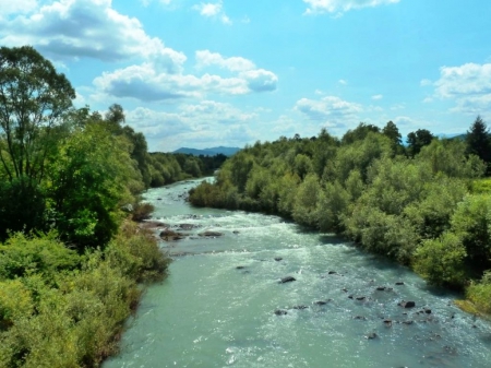 River - trees, water, photography, photo, Bulgaria, river, nature, green, sky