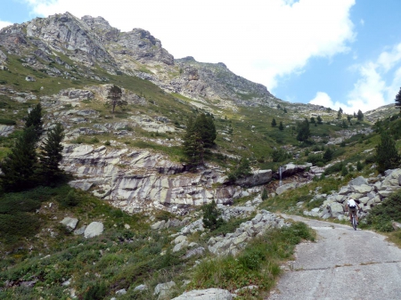 Mountain Rocky Road - rocks, road, photo, photography, trees, nature, mountain, bulgaria