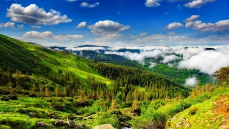 fantastic nature landscape - stream, mountains, rocks, clouds, hills, trees