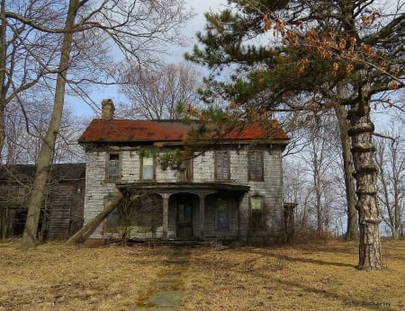 Missing a Family - house, architecture, tree, path, wooden, nature, barn, pine, shed, country, farm