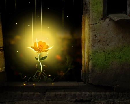 Lonely - light, magic, darkness, rose, fantasy, art, dark, lonely, yellow, beautiful, enchanted, flower