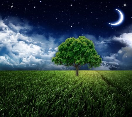 ♥Beautiful Night♥ - moon, grass, field, night, stars, tree, sky