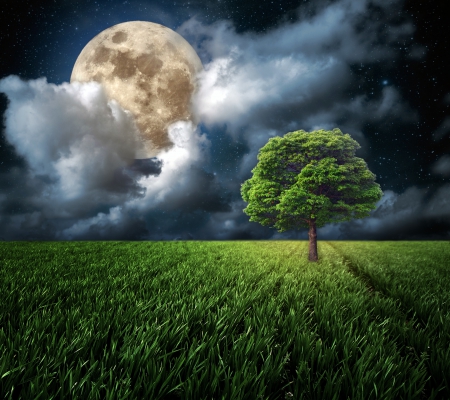 â™¥Moonlightâ™¥ - moon, sky, full, clouds, night, field, tree, grass