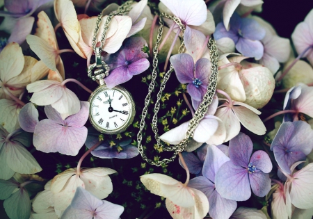 Time Heals All - flowers, pocket watch, petals, chain