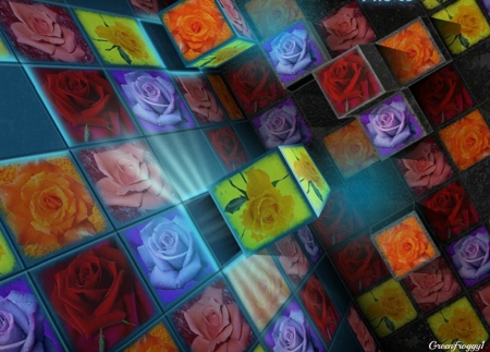 ROSES IN CUBES - creation, art, cubes, abstract