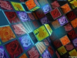 ROSES IN CUBES