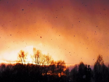 Sunset in snow-storm. - winter, nature, sky, other