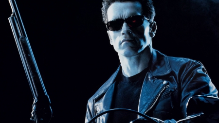 Terminator 2 - shades, terminator, sci fi, actor, weapon, arnold schwarzenegger