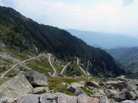 Mountain Road - forest, evergreen, road, photo, nice, photography, trees, nature, mountain, bulgaria, green