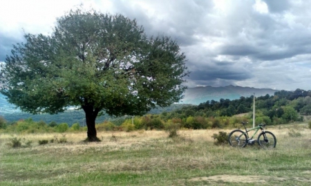 Lonely Tree - clouds, photography, photo, Bulgaria, tree, bike, nature, green, nice, sky