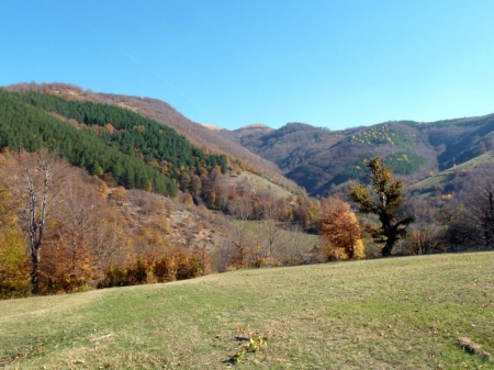 Mountain - fall, trees, nature, autumn, photography, photo, Bulgaria, mountain