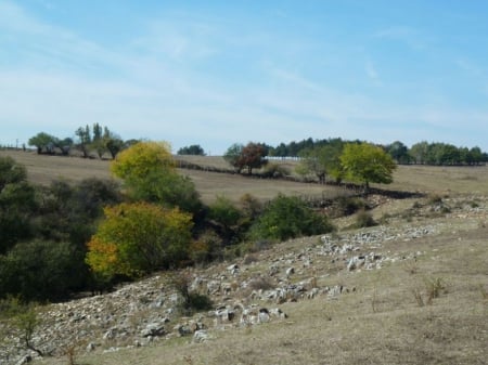 Nature - trees, nature, photography, photo, Bulgaria, mountain, stones