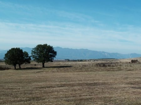 Field - trees, nature, blue, photography, field, photo, Bulgaria, sky