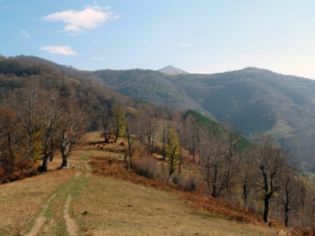 Mountain - trees, photography, photo, Bulgaria, leaves, mountain, fall, path, nature, autumn