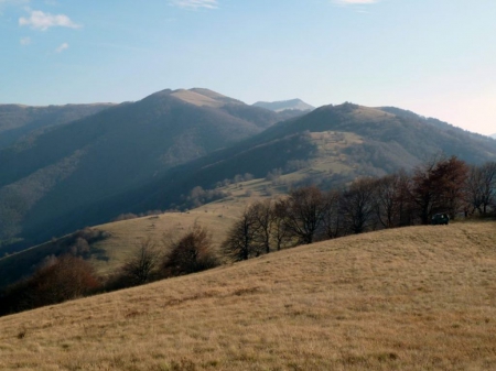 mountain view - photo, photography, trees, nature, mountain, bulgaria