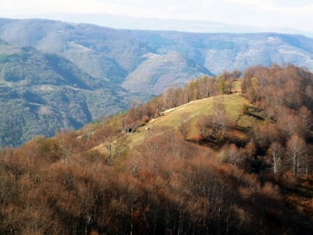 Sunny Mountain Day - trees, sunny, nature, photography, photo, Bulgaria, mountain