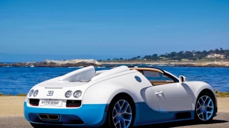 I like cars..Its bugatti_veyron - tires, mirror, blue, whie