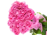 â™¥Pink Rosesâ™¥