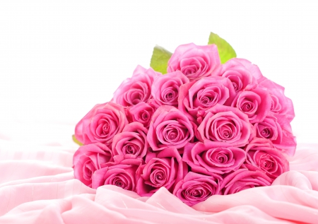 ♥Pink Roses♥