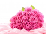 ♥Pink Roses♥