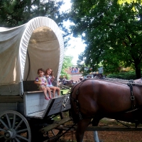 Little Cowgirls