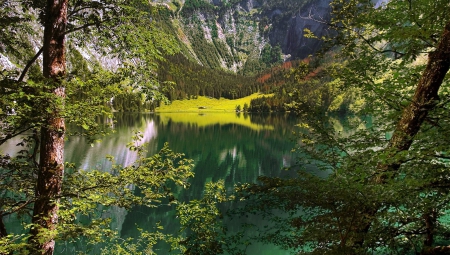 The Beauty Of Bavaria - lakes, trees, forest, beautiful, mountains, grass