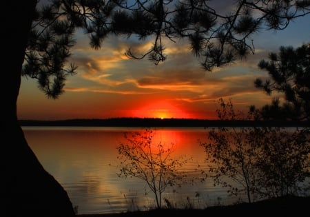 The Sun Is Shinning Like A Red Rubber Ball - sky, lake, trees, beautiful, clouds, wisconsin