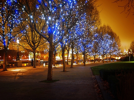 CHRISTMAS LIGHTS AT NIGHT - glow, christmaslights, sparkle, beautiful