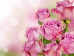 â™¥Pink Rosesâ™¥