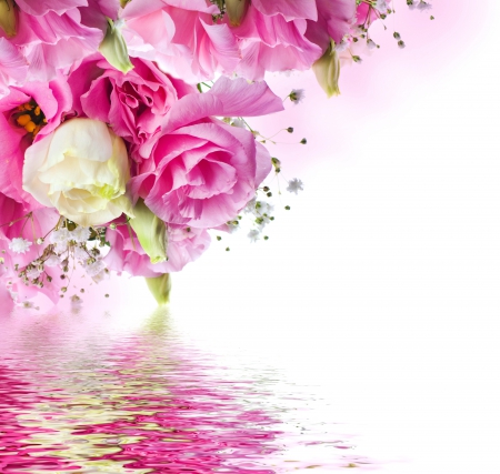 â™¥Beautiful Flowersâ™¥ - reflection, roses, pink, water, flowers