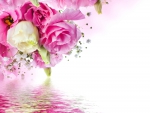 â™¥Beautiful Flowersâ™¥