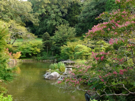 Chiba Park - japan, narita, nature, garden, lake, park, japanese