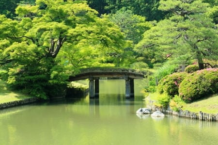 Nikko Park - japan, nikko, nature, lake, bridge, japanese