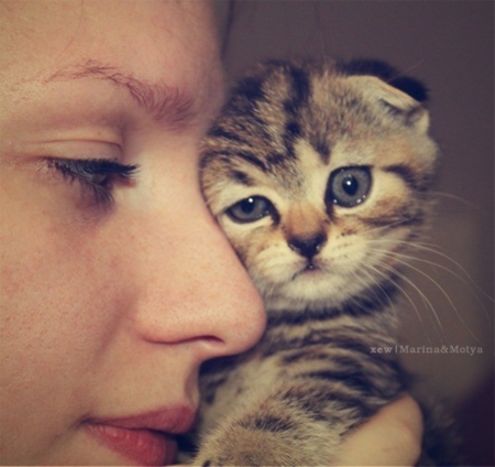 so love - people, photography, cute, cats, cool