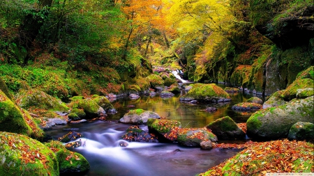 Mountain Creek Waterfalls - morning, colors of nature, sky, green scenary, colorful, water, summer, waterfall, plants, rocks, nature, forest, forces of nature, warm, clouds, tree