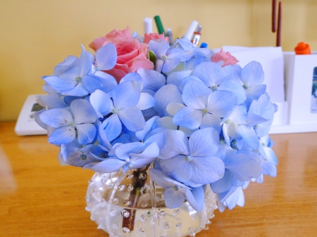 A touch of pink - flowers, roses, blue, hydrangea, pink