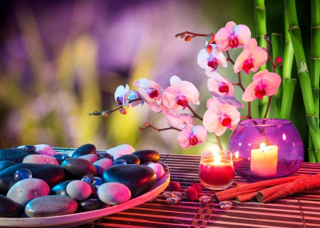 Colorful set of SPA - of, orchid, colorful, spa, set, flower