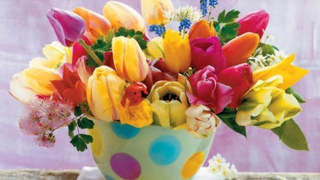 Spring in a cup - tulips, dots, beautiful, flowers, spring, cup, colors