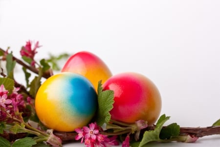 Colorful Easter Eggs - eggs, flowers, colorful, Easter eggs, Spring, Easter