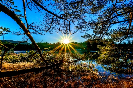 SUNNY DAY - river, trees, rays, sun