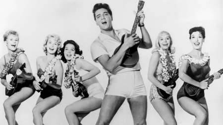 The King - elvis presly, The King, singer, movie star, idoll