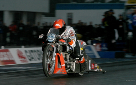 harley davidson screamin eagle - dragster, screamin eagle, wallpaper, nhra, harley-davidson