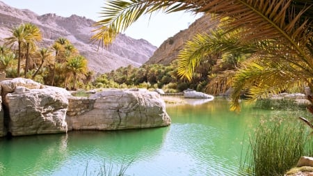 Wadi Bani Khalid, Oman - mountain valley, beautiful, boulders, pool of waters, palm trees, lush oases