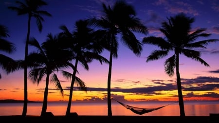 Beach - palms, sunset, beach, vacation, beaches, palm